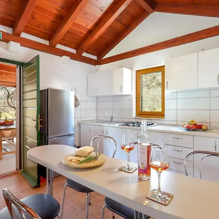 Family Friendly House With A Swimming Pool Postira, Brac - 19563 * Postira